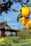 The Summer We Fell Apart - Robin Antalek