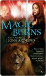 Magic Burns  - Ilona Andrews