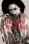 Ecstasy Overload - T.A. Grey