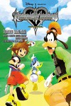 Kingdom Hearts: Chain of Memories The Novel - Tomoco Kanemaki, Tetsuya Nomura, Daisuke Watanabe