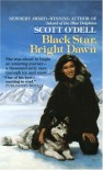 Black Star, Bright Dawn - Scott O'Dell