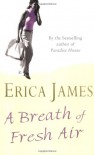 A Breath of Fresh Air - Erica James