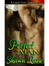 Perfect Man - Shawn Lane