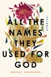 All the Names They Used for God: Stories - Anjali Sachdeva