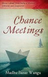 Chance Meetings: Stories About Cross-Cultural Karmic Collisions and Compassion - Madhu Bazaz Wangu