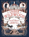 Under Wildwood - Carson Ellis, Colin Meloy