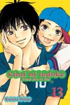 Kimi ni Todoke: From Me to You, Vol. 13 - Karuho Shiina