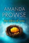 The Idea of You - Amanda Prowse