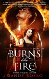 Burns Like Fire - Mandy Rosko