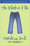 The Sisterhood of the Traveling Pants - 