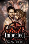 Past Imperfect - Rowan Worth