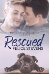 Rescued (Rescued Hearts #1) - Felice Stevens