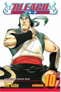 Bleach, Vol. 10: Tattoo on the Sky - Tite Kubo