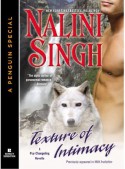 Texture of Intimacy - Nalini Singh