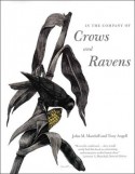 In the Company of Crows and Ravens - John M. Marzluff, Tony Angell, Paul R. Ehrlich