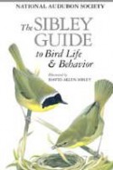 The Sibley Guide to Bird Life & Behavior - David Allen Sibley, National Audubon Society, John B. Dunning, Chris Elphick