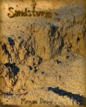 Sandstorm (Tavamara) - Megan Derr