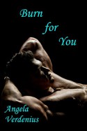 Burn for You (Gully's Fall Book 1) - Angela Verdenius