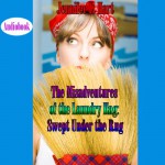 The Misadventures of the Laundry Hag: Swept Under the Rug - Jennifer L. Hart, Jennifer L. Hart, Suzanne Cerreta