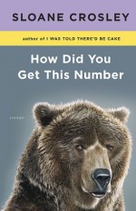 How Did You Get This Number - Sloane Crosley