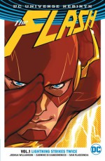 The Flash, Vol. 1: Lightning Strikes Twice - Ivan Plascencia, Joshua Williamson, Steve Wands, Carmine Di Giandomenico, Karl Kerschl