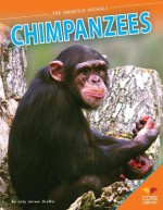 Chimpanzees - Jody Jensen Shaffer