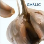 Garlic (Little Kitchen Collection (Southwater)) - Southwater Publishing