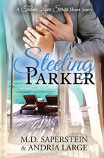 Steeling Parker (a Taboo Love Series) - Andria Large, M.D. Saperstein