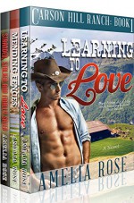 Contemporary Cowboy Romance 3 Book Box Set - Amelia Rose