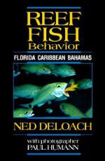 Reef Fish Behavior: Florida Caribbean Bahamas - Ned DeLoach