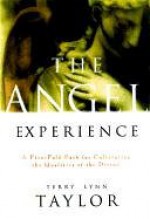 The Angel Experience - Terry Lynn Taylor