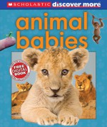 Scholastic Discover More: Animal Babies - Andrea Pinnington