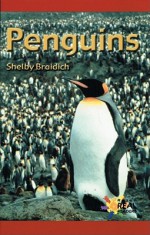 Penguins - Shelby Braidich