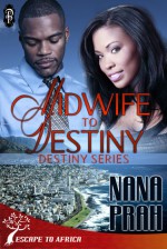 Midwife to Destiny - Nana Prah