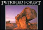 Petrified Forest (National Park, AZ) (Postcard Books) - Jeff Nicholas