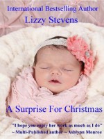 A Surprise For Christmas - Lizzy Stevens