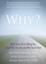 Why?: What Your Life Is Telling You about Who You Are and Why You're Here - Sean OLaoire, Ralph Metzner, Matthew McKay