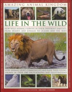 Amazing Animal Kingdom: Life in the Wild - Michael Chinery