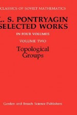 Topological Groups - Raymond Bonnett