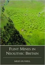 Flint Mines in Neolithic Britain - Miles Russell