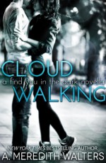 Cloud Walking - A. Meredith Walters