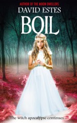 Boil - David Estes