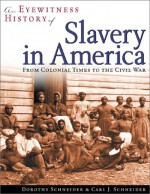 Slavery In America: From Colonial Times To The Civil War: An Eyewitness History - Dorothy Schneider, Carl J. Schneider