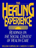 The Healing Experience: Readings on the Social Context of Health Care - William Kornblum, Carolyn D. Smith