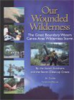 Our Wounded Wilderness - Jim Cordes, Mike Link