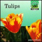 Tulips - John F. Prevost