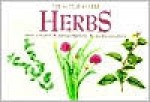 Herbs (Little Guides) - Geoffrey Burnie