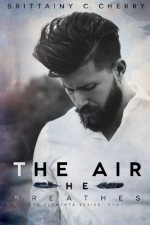 The Air He Breathes - Brittainy C Cherry