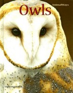 Owls - Tom Warhol