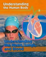 Understanding the Heart, Lungs, and Blood - Sarah Levete